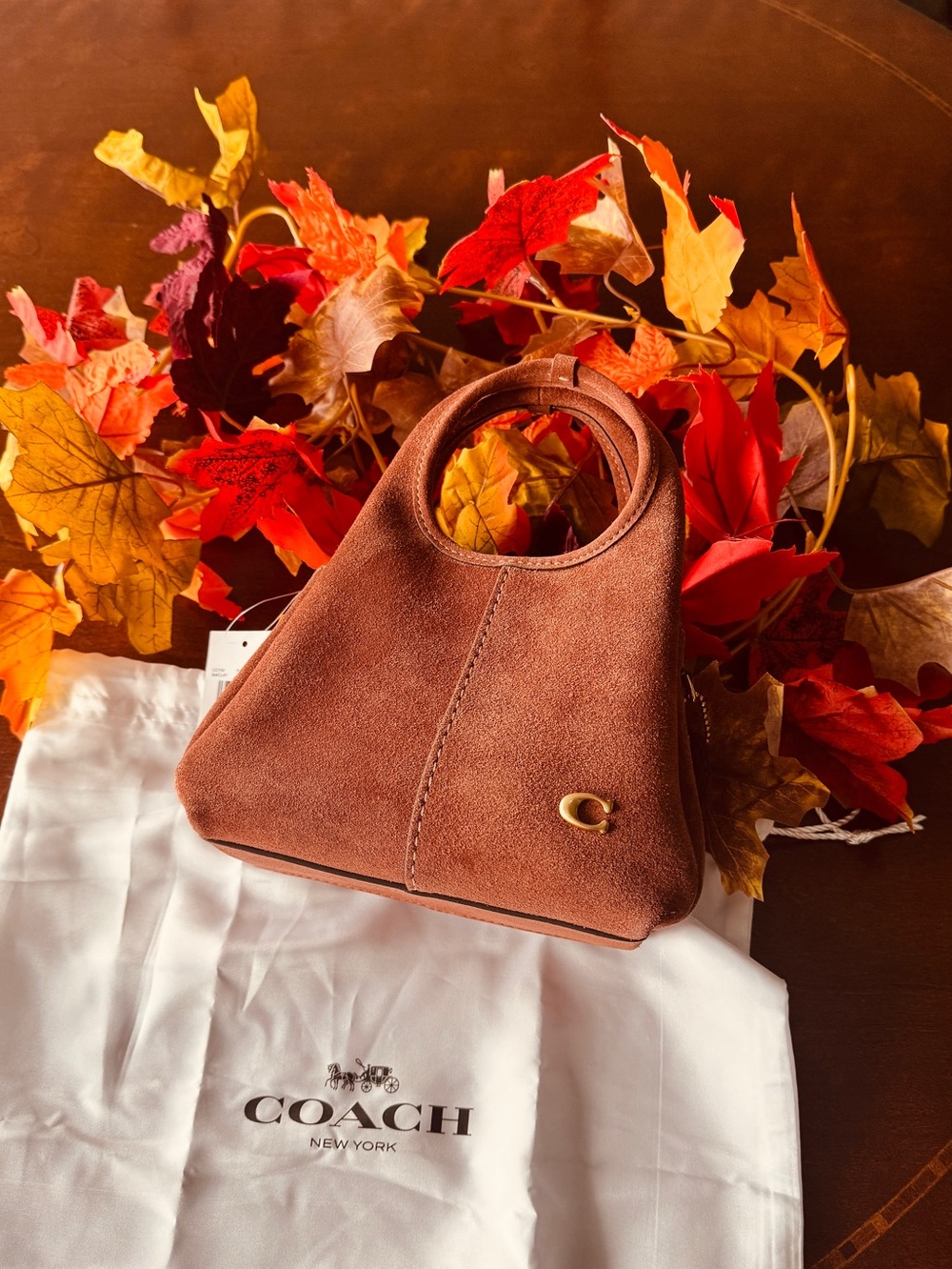 Coach Lana 19 suede - clay